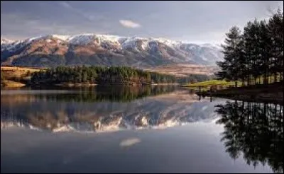 Qu'en est-il du Premier ministre ? (2017)