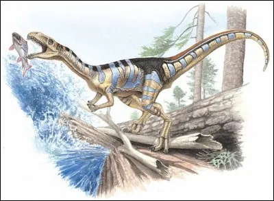 Où a été découvert cet étrange dinosaure, nommé Masiakasaurus ?