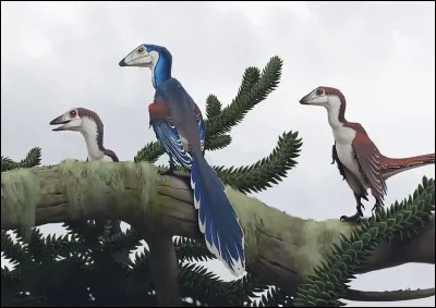 De quelle couleur était le plumage d'archéoptéryx, l'un des premiers dinosaures à plumes ?