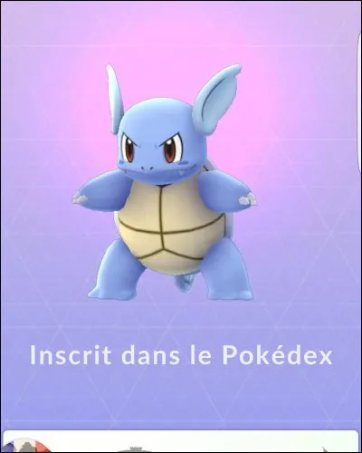 Quelle est l'évolution de Carabaffe ?