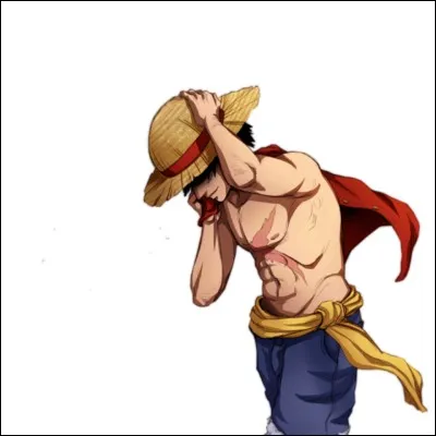 Quelle est la plus haute prime mise sur la tête de Luffy ?