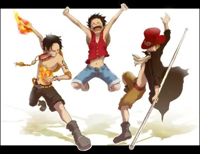 Qui sont Ace et Sabo pour Luffy ?