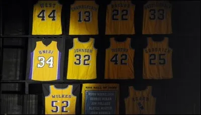 Qui n'a pas eu son maillot retiré avant 2017 ?