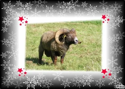 Suis-je bien une constellation ?