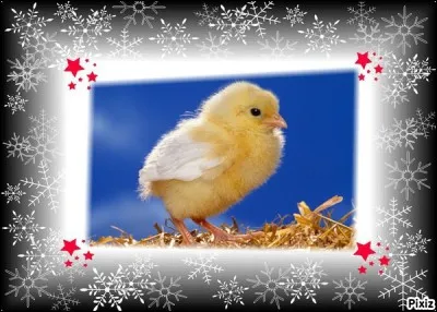 J'étais déjà un grand peintre, mais suis-je, en plus, une constellation ?