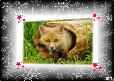 Une constellation porterait-elle mon nom ?