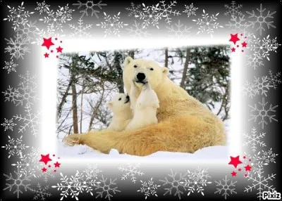 Suis-je une constellation ?