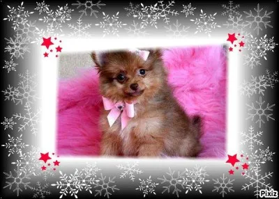 Suis-je bien une constellation ?