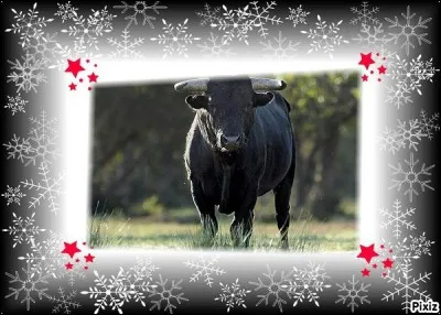 Est-il exact qu'une constellation porte mon nom ?