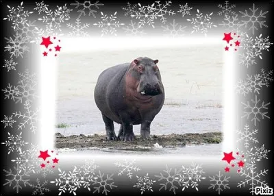 On me dit que je suis une étoile, mais est-ce vrai ?