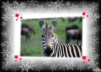 Mon nom correspond-il à une constellation ?