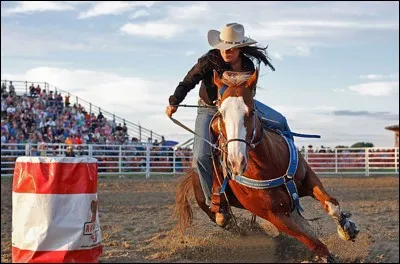 Comment appelle-t-on cette discipline ?