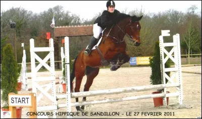 Comment appelle-t-on cette discipline ?