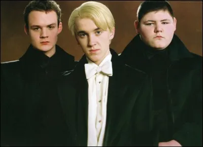 Quels sont les noms des deux amis de Drago Malefoy ?
