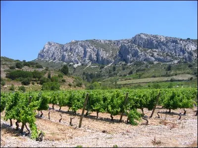 CORBIERES - De quelle chaîne montagneuse fait partie le massif des Corbières ?