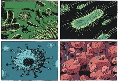 Quels sont ces organismes ?