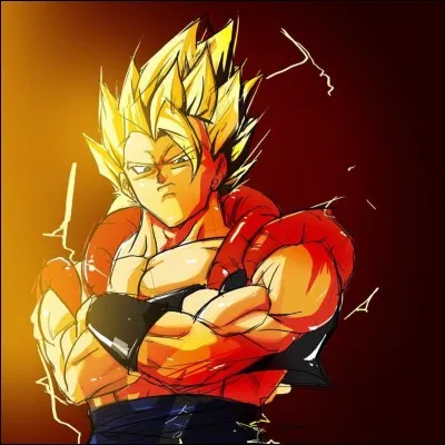 Que se passe-t-il quand la fusion metamol entre Son Goku et Vegeta dépasse 30 minutes ?