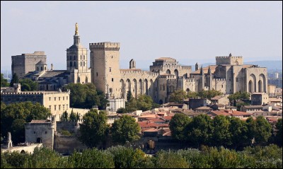Quelle ville abrite le palais des Papes ?