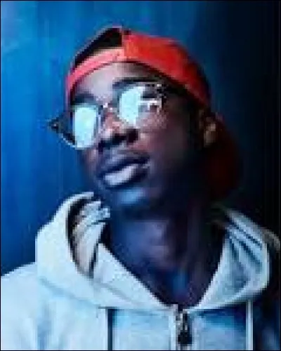 &Agrave; quel chanteur fran&ccedil;ais a &eacute;t&eacute; remis le double disque d'or ?