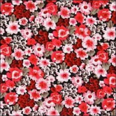 Quelle est la fleur parfaite ?