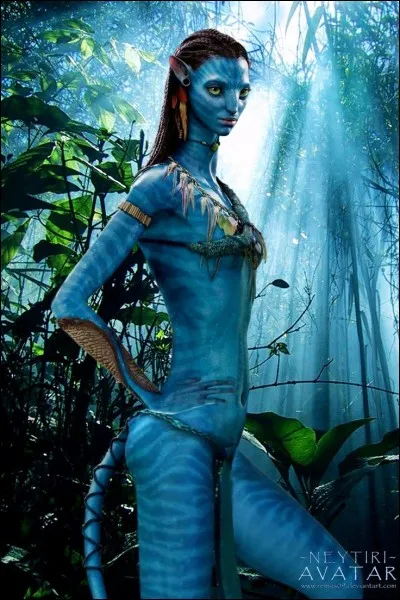 Quelle est la mission de Jake Sully ?