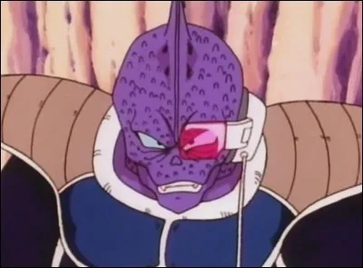 DBZ : Qui est-ce ?