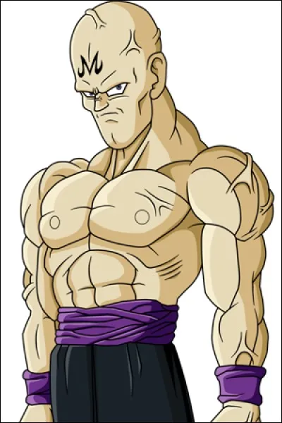DBZ : Qui est-ce ?