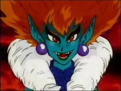 DBZ : Qui est-ce ?