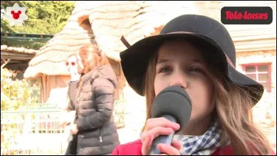 Où sont allés Erza et son groupe ?