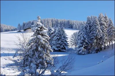 M&ecirc;me une maison de redressement ne peut rien pour lui.