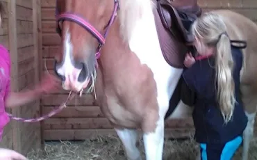 Quiz Galop 1