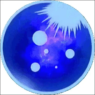 Quel est le nom de cet objet qui cache le jaki des Youka&iuml; ?