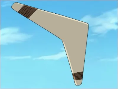 Quel est le nom de cet objet qui peut &eacute;galement &ecirc;tre qualifi&eacute; de technique ?