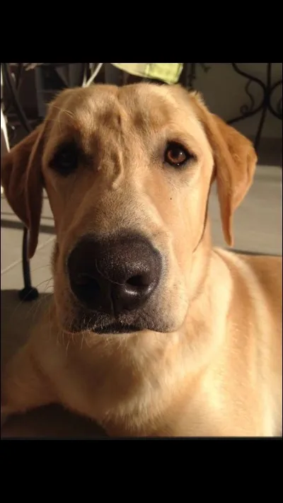 Quel est son pseudo Snap ?