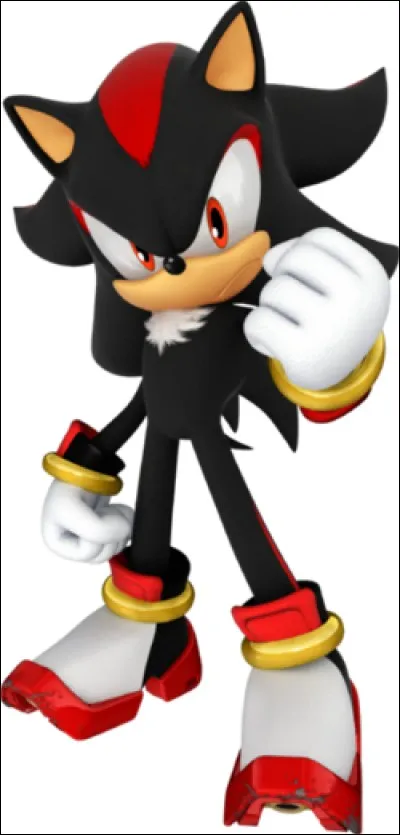 Ce hérisson noir, swag et stylé, est le personnage le plus célèbre de la saga Sonic :