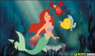 Ce crabe apparait dans « La petite sirène ». Mais comment s'appelle-t-il ?