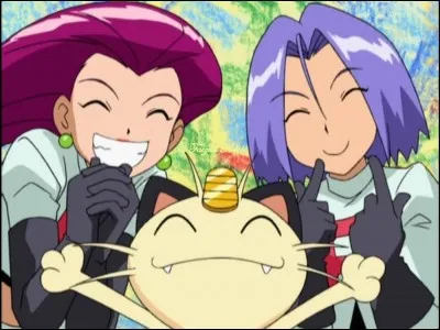 Qui est le chef de la team Rocket ?
