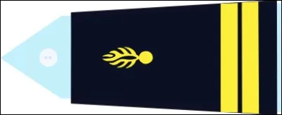 Vous porterez le costume d'un lieutenant pour y entrer. Quel grade suit lieutenant ?