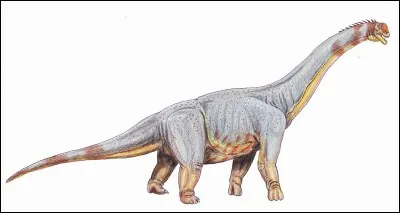 Voilà, vous êtes dans la salle des archives. Prenez le document concernant le Paralititan. Dans quelle rubrique allez-vous le trouver ?