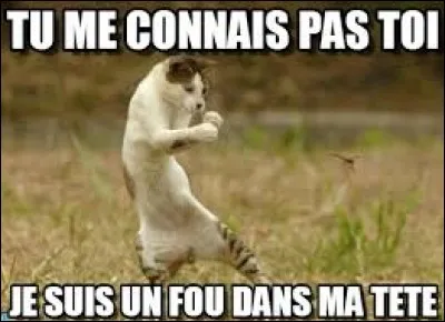 Qui a chanté "Pas toi" ?