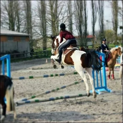 Quel cheval monte le plus souvent Sonia ?