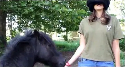 Quel Shetland Sonia n'a-t-elle pas réussi à reconnaître dans le pré ?