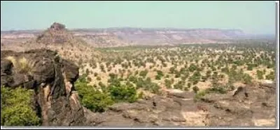 Quelle est la forme politique du Mali ?