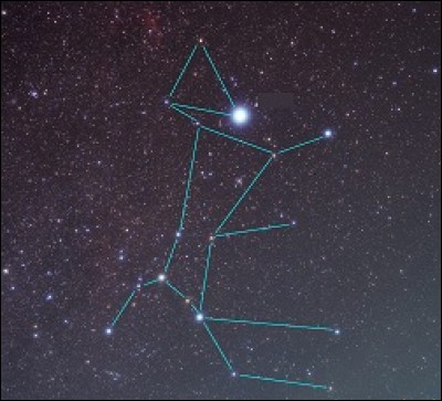 L'étoile la plus brillante de notre ciel est nommée Alpha Canis Majoris. De quel animal, dont elle porte le nom, semble-t-elle éclairer la truffe ?