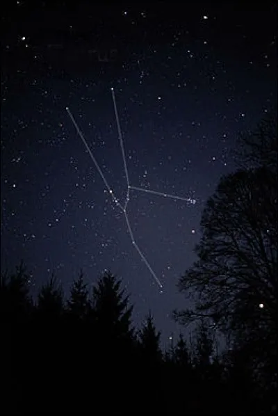 Grande constellation majeure du ciel hivernal de l'hémisphère nord, mon étoile la plus brillante est Aldéburan. Je suis le roi des fêtes votives !