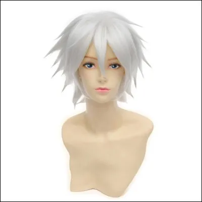 De quel type de nen sont les Zoldik aux cheveux argentés ?