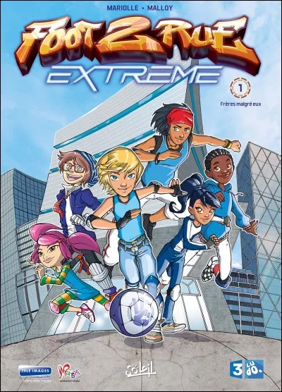 Dans la Team, quatre personnes sont dans le même collège ; qui n'est pas dans le même collège qu'elles ?