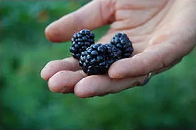 Ce fruit se prononce exactement pareil qu'un objet dur, mais l'écriture n'est pas la même. Trouvez son nom !