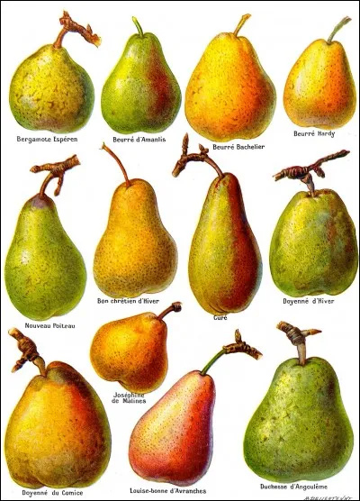 Ce fruit est généralement de couleur verte, jaune ou rouge. Retrouvez son nom !