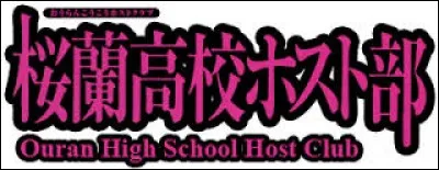 Pour les filles-À quel anime appartient ce logo ?.